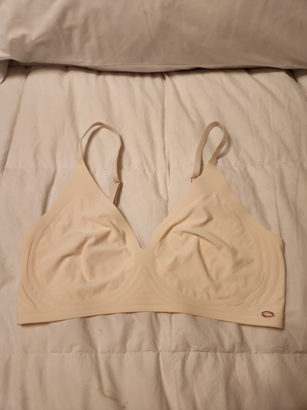 Wireless Bra or Bralette